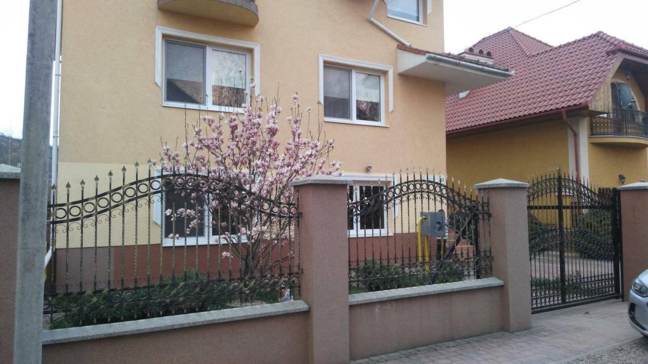 Apartments I & I Berehove (Transcarpathia) Exterior foto